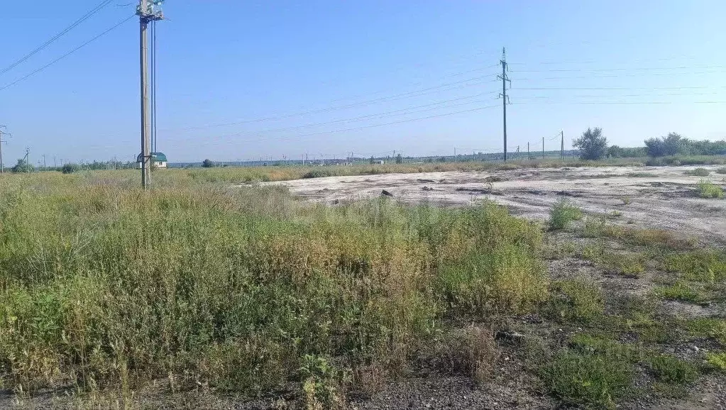 Участок в Саратовская область, Балашовский район, Хоперское ... - Фото 1