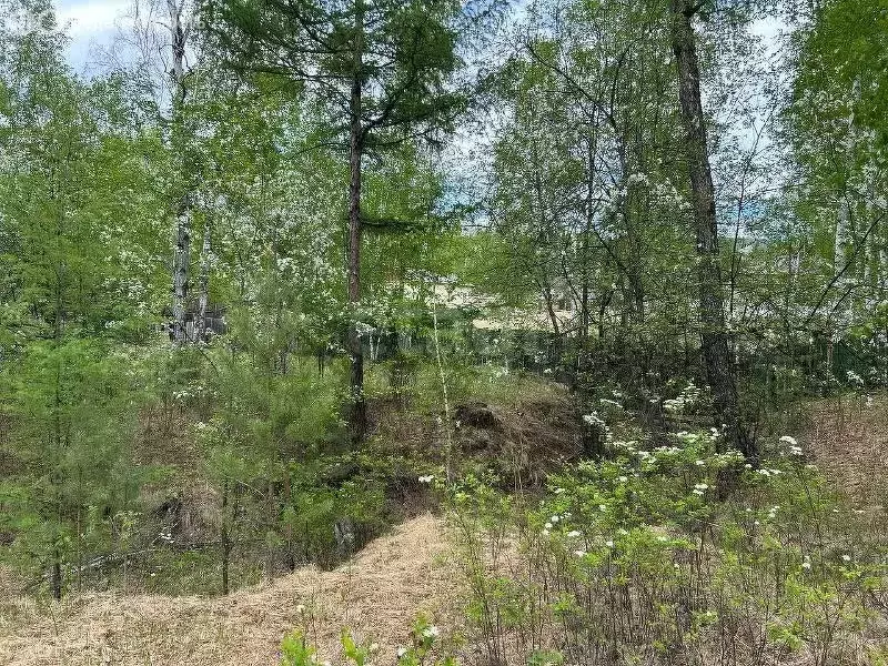 Участок в посёлок городского типа Атамановка, Родниковая улица (18.2 ... - Фото 2