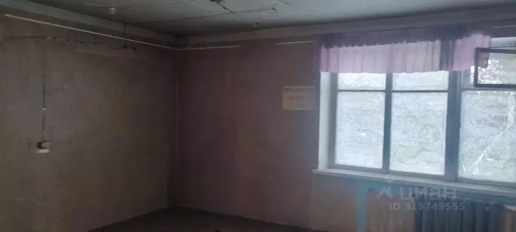 Помещение свободного назначения в Камчатский край, Елизовский ... - Фото 0