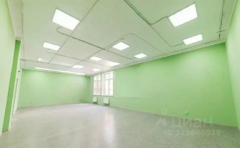 Помещение свободного назначения в Татарстан, Казань ул. Баки Урманче, ... - Фото 2