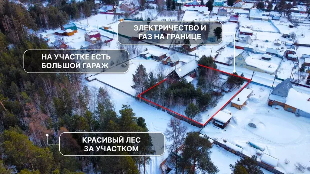 Участок в Томская область, Шегарский район, пос. Победа Сосновая ул., ... - Фото 1