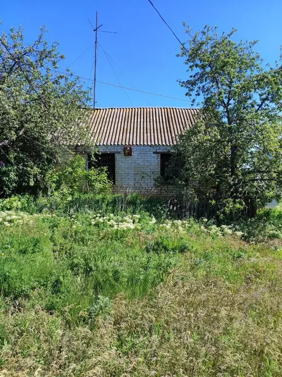 Помещение свободного назначения в Волгоградская область, Камышинский ... - Фото 0