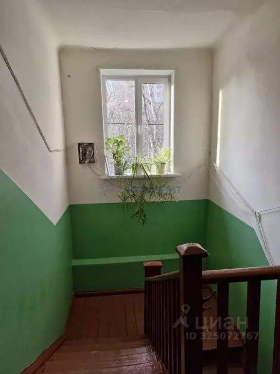 2-к кв. Нижегородская область, Нижний Новгород ул. Чаадаева, 35А (33.5 ... - Фото 2