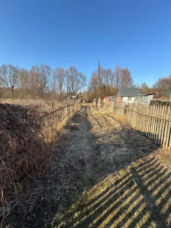 Участок в Владимирская область, Суздальский район, Селецкое ... - Фото 1