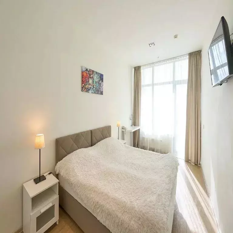 1-к кв. Краснодарский край, Сочи Центральный мкр, ул. Орджоникидзе, ... - Фото 2