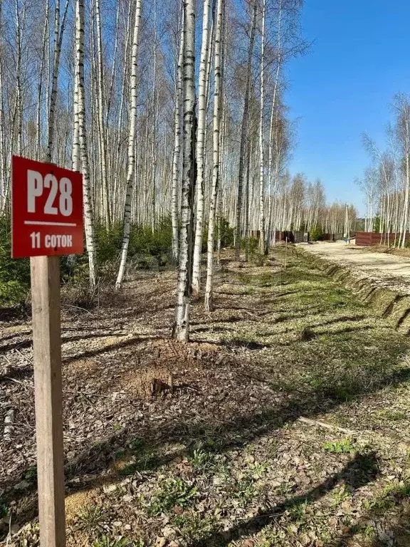 Участок в Московская область, Ступино городской округ, Шелково Форест ... - Фото 0