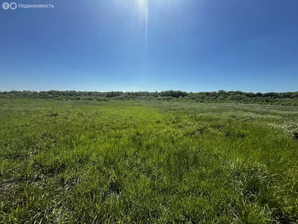 Участок в станица Смоленская, Лесная улица (14 м) - Фото 1