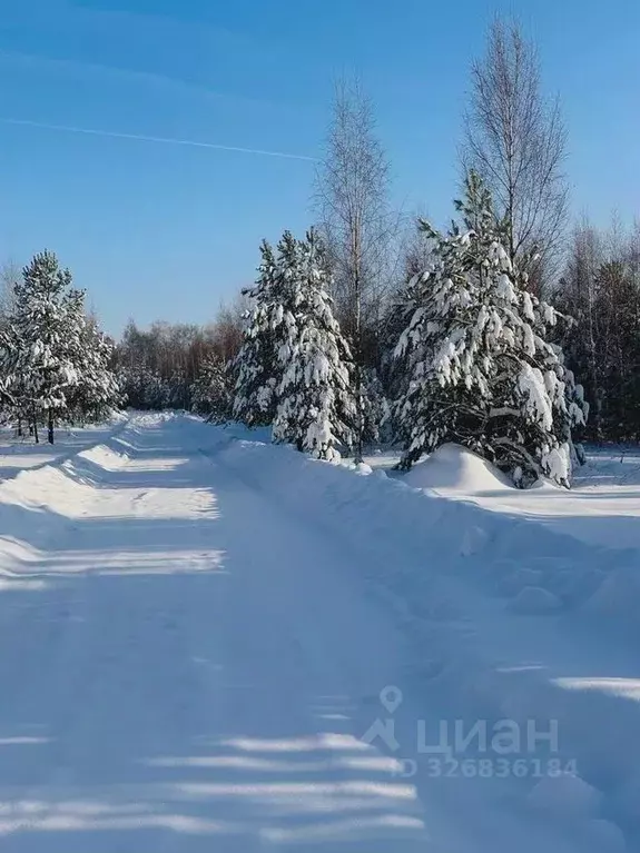 Участок в Московская область, Серпухов городской округ, с. Липицы  ... - Фото 1