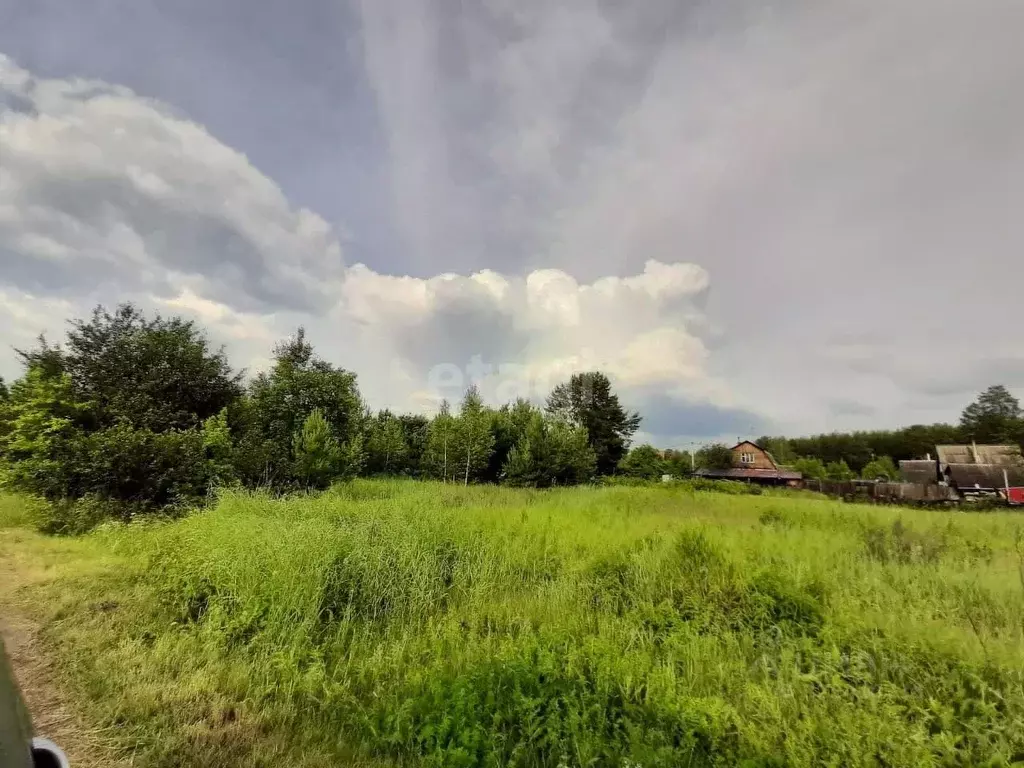 Участок в Свердловская область, Екатеринбург муниципальное ... - Фото 2