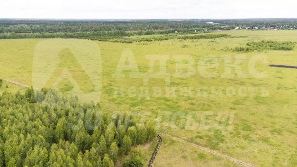 Участок в Тюменская область, Тюменский район, д. Речкина  (12.0 сот.) - Фото 1