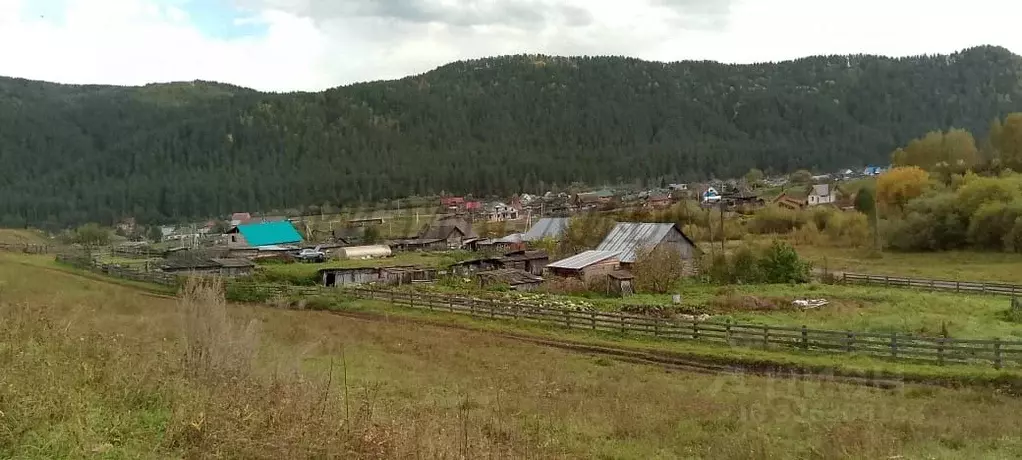 Участок в Алтай, Шебалинский район, с. Камлак Алтайская ул. (9.11 ... - Фото 2