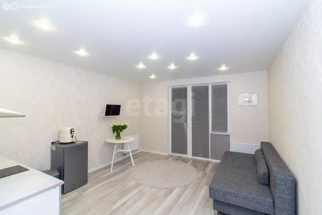 Квартира-студия: Патрушева, улица Александра Пушкина, 16 (25.9 м) - Фото 2