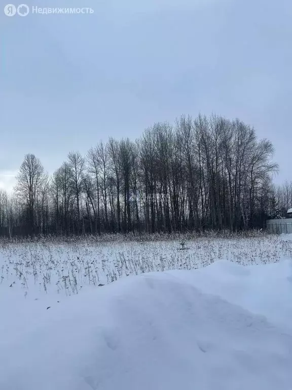 Участок в Тюменский район, коттеджный посёлок Новокаменский, улица ... - Фото 0