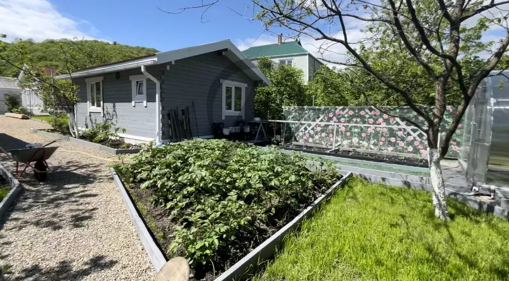 Дом в Краснодарский край, Туапсинский муниципальный округ, с. Ольгинка ... - Фото 2