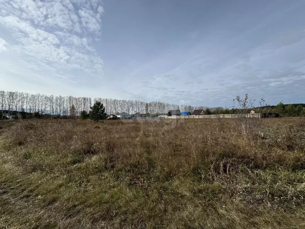 Участок в Свердловская область, Талица ул. Луначарского (11.4 сот.) - Фото 0