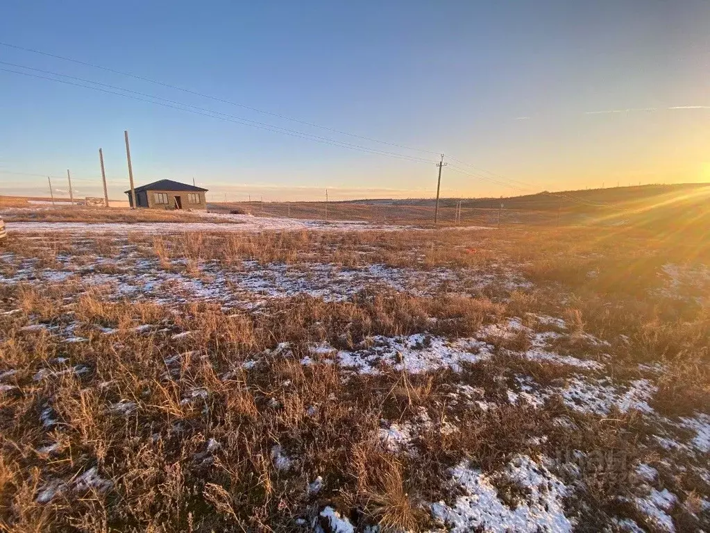 Участок в Волгоградская область, Городищенский район, Царицынское ... - Фото 1