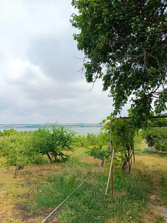 Дом в село Лакедемоновка, Заречная улица, 30 (80 м) - Фото 0