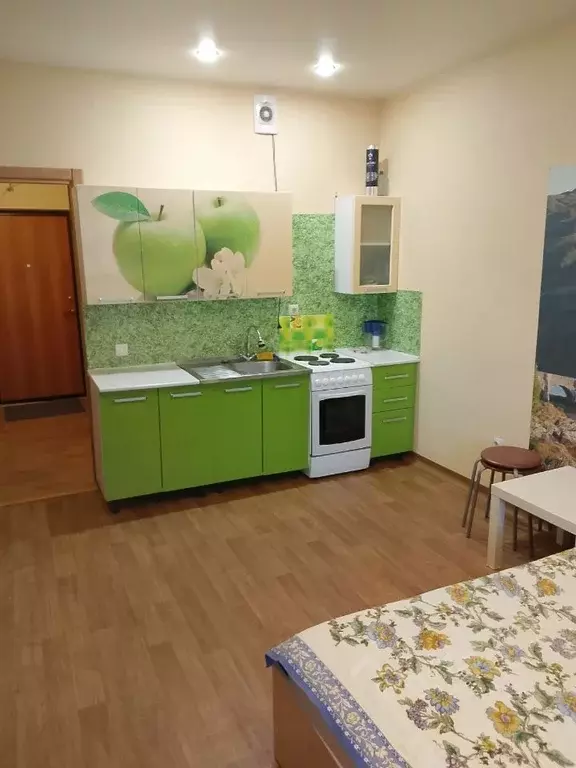 Студия Ленинградская область, Кудрово г. Всеволожский район, Заневское ... - Фото 1