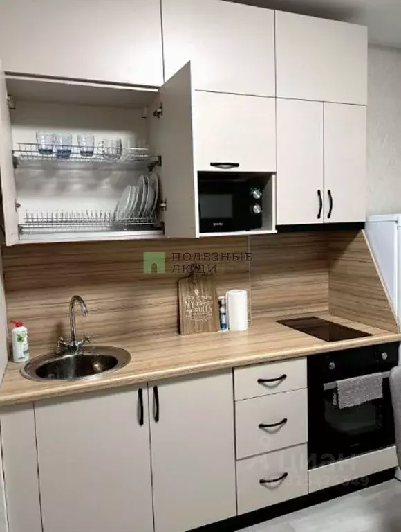 Студия Белгородская область, Белгород ул. Попова, 31 (31.0 м) - Фото 1