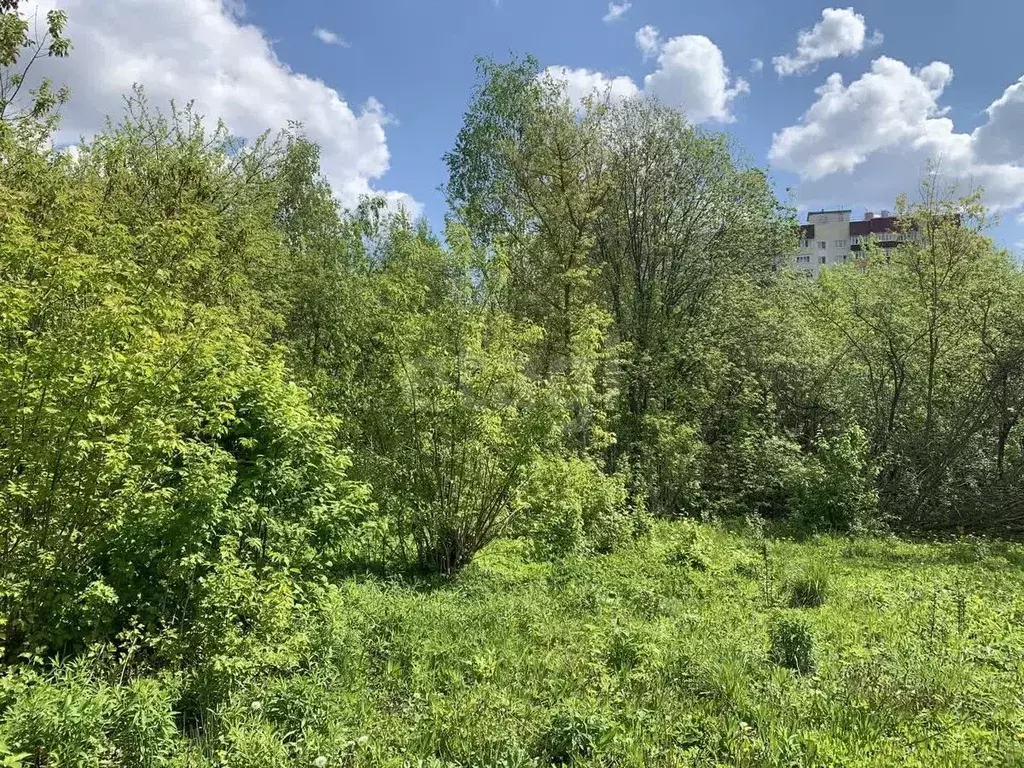 Участок в Мордовия, Саранск Натуралист СНТ,  (4.0 сот.) - Фото 1