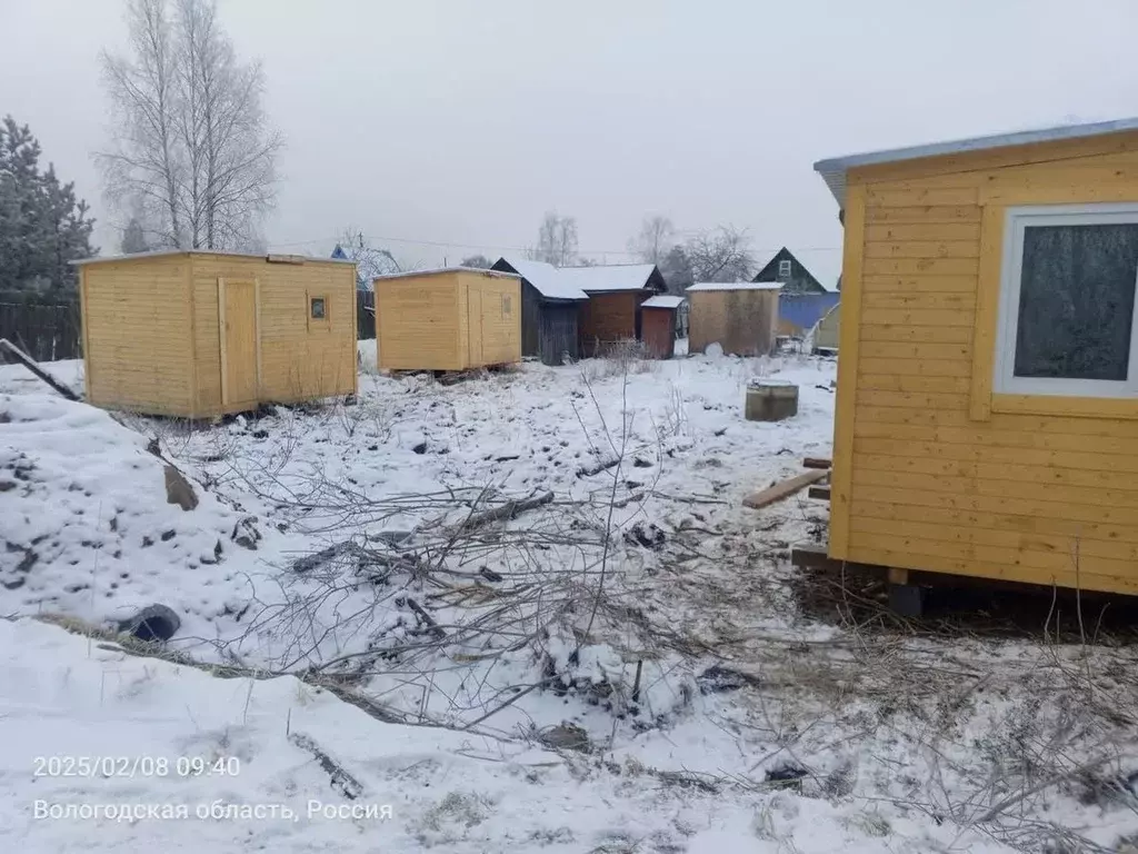 Участок в Вологодская область, Череповец Аммофос-1 садоводческое ... - Фото 1