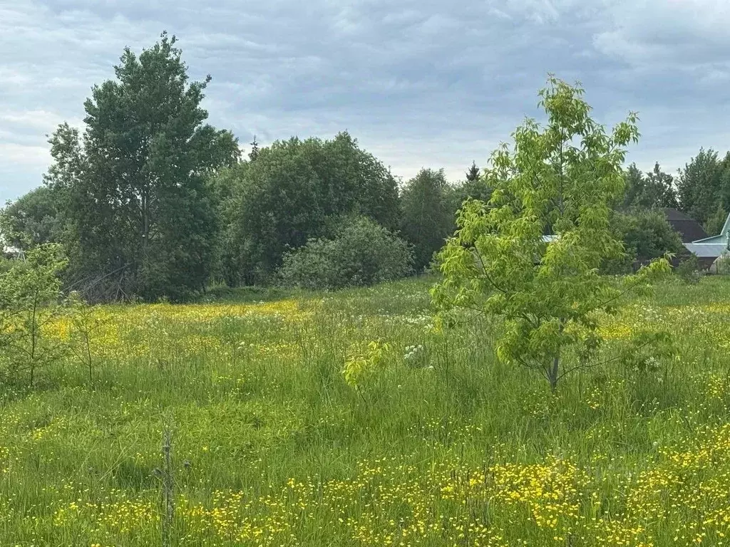 Участок в Московская область, Богородский городской округ, д. Старые ... - Фото 1