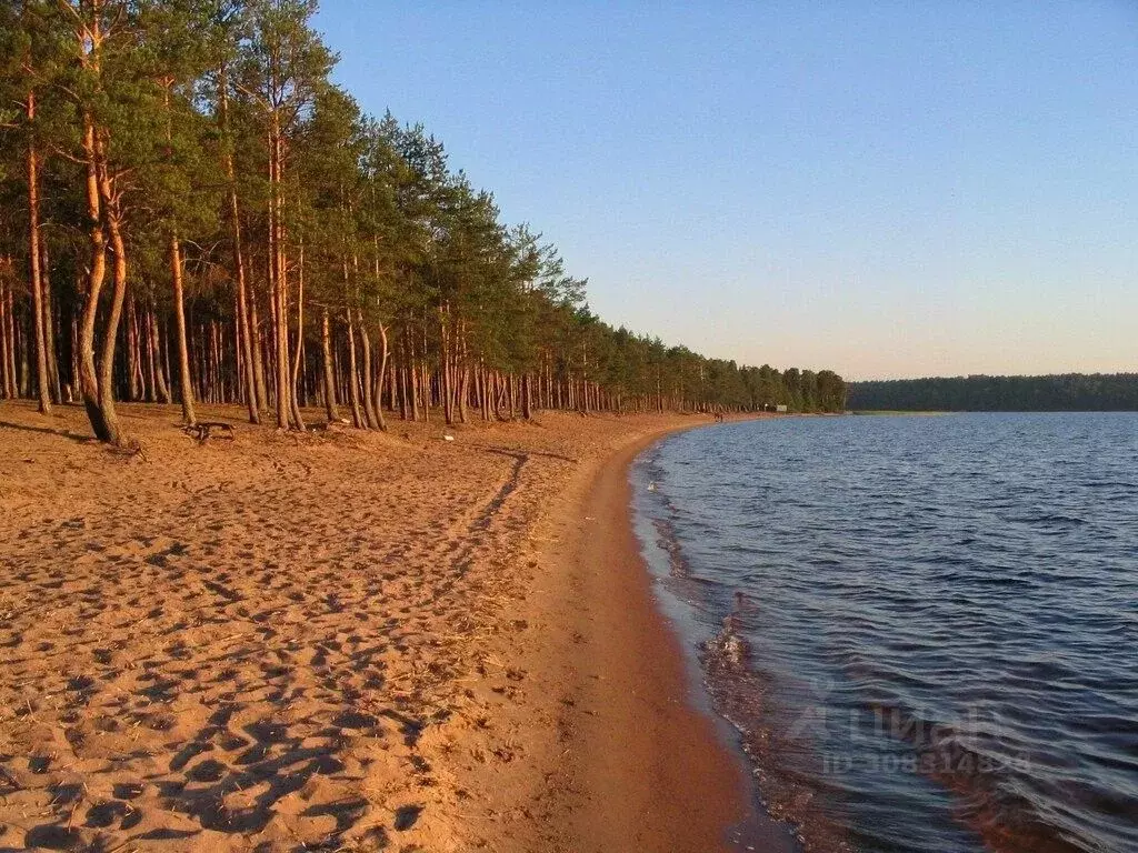 Участок в Ленинградская область, Выборгский район, Красносельское ... - Фото 1