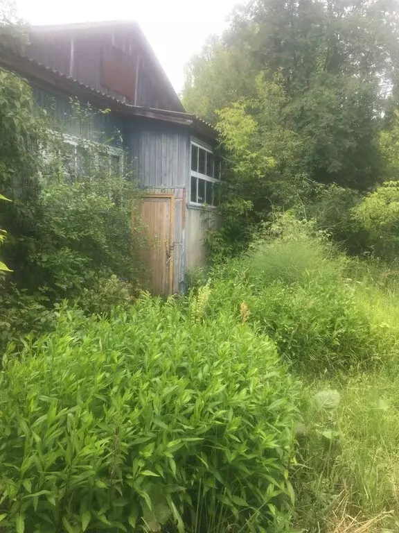 Дом в Ветлужский, Верхняя улица, 3 (60 м) - Фото 1