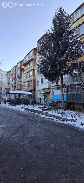 2-комнатная квартира: Владикавказ, проспект Доватора, 246 (37.2 м) - Фото 1