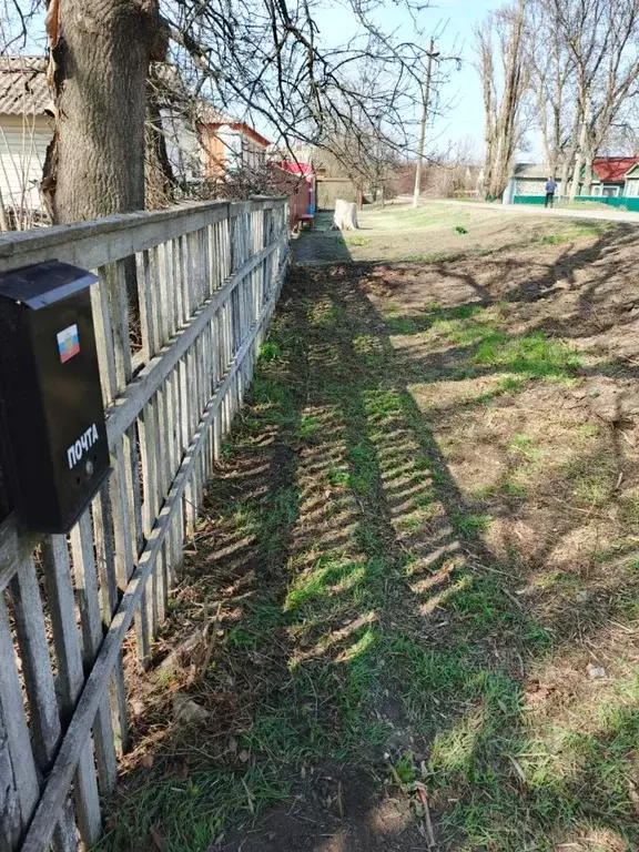 Участок в Ростовская область, Багаевский район, Манычское с/пос, ... - Фото 2