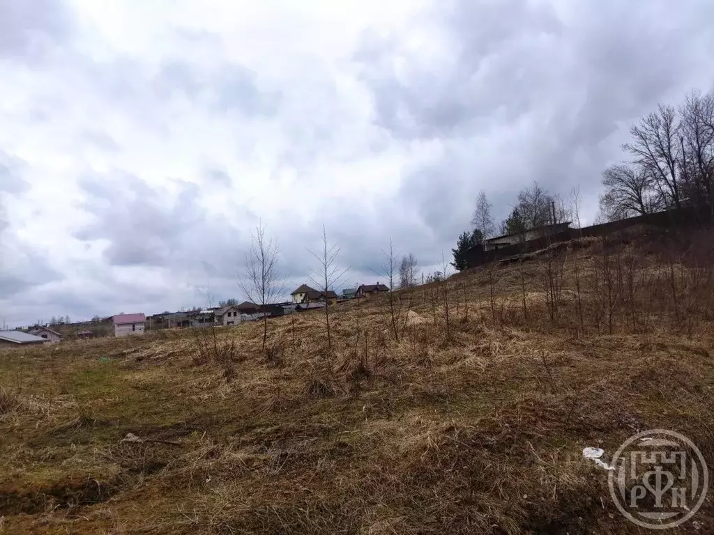 Участок в Ленинградская область, Всеволожский район, Лесколовское ... - Фото 2