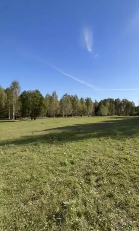 Участок в Нижегородская область, Городецкий муниципальный округ, д. ... - Фото 1
