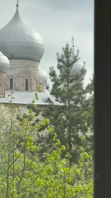 2-к кв. Новгородская область, Великий Новгород Район Торговая сторона, ... - Фото 2