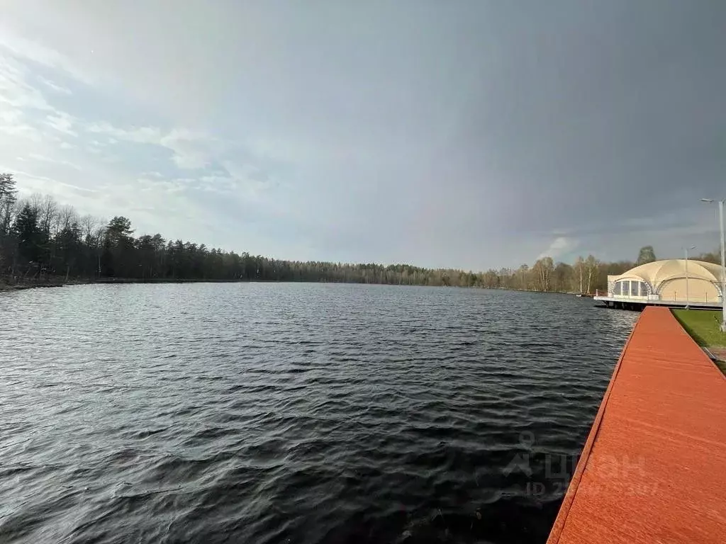Участок в Новгородская область, Валдайский район, Едровское с/пос, д. ... - Фото 2