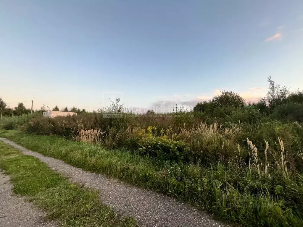 Участок в Владимирская область, Собинский муниципальный округ, с. ... - Фото 2