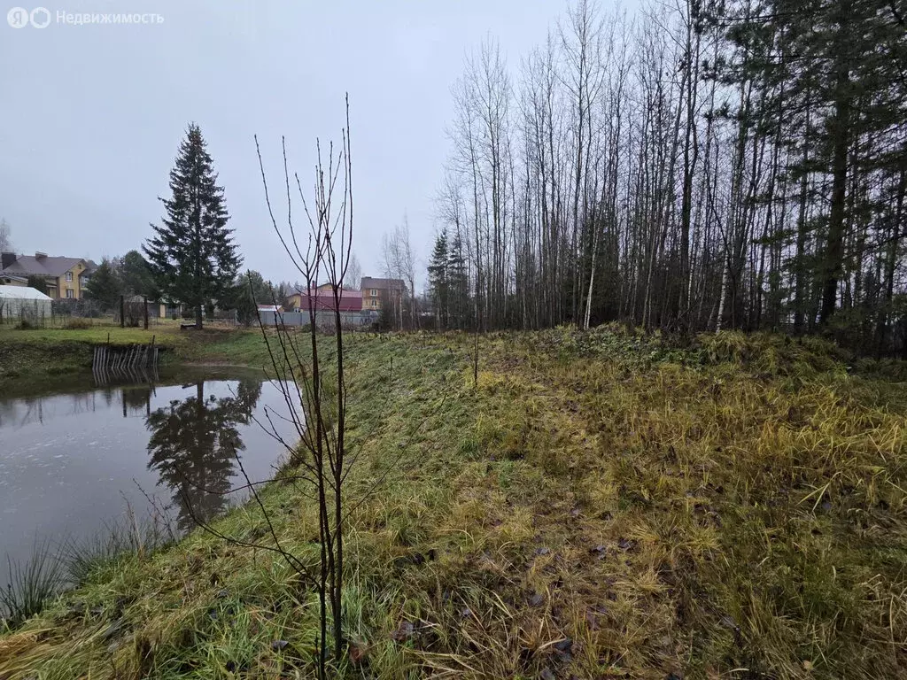 Участок в Медведевский район, Сидоровское сельское поселение, деревня ... - Фото 2