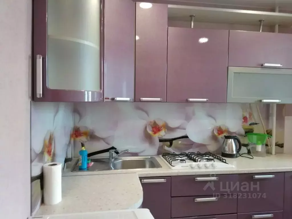 1-к кв. Псковская область, Псков Юбилейная ул., 77Б (39.0 м) - Фото 2