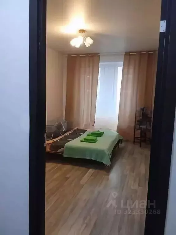 1-к кв. Московская область, Балашиха Саввино мкр, ул. Народного ... - Фото 2