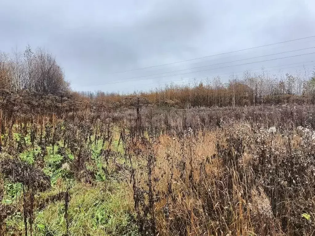 Участок в Коми, Сыктывдинский район, с. Выльгорт ул. Совхозная, 9Б ... - Фото 1