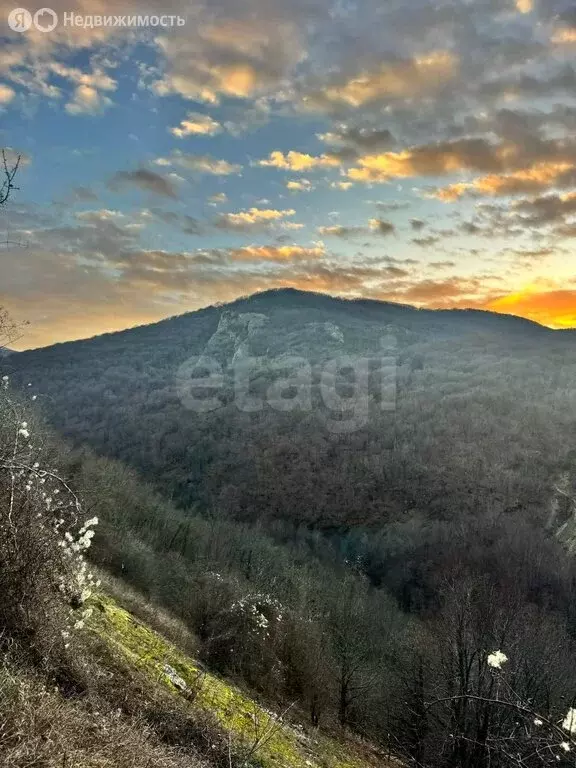 Участок в Белогорский район, Криничненское сельское поселение, село ... - Фото 1