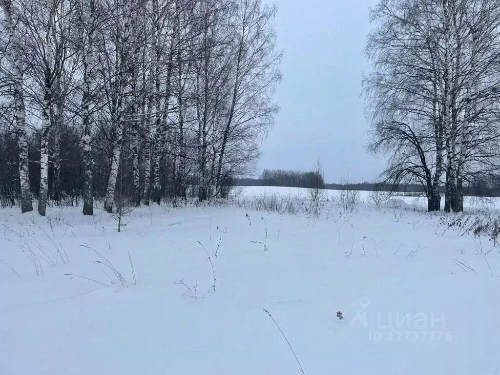 Участок в Костромская область, Красносельский район, Шолоховское ... - Фото 0