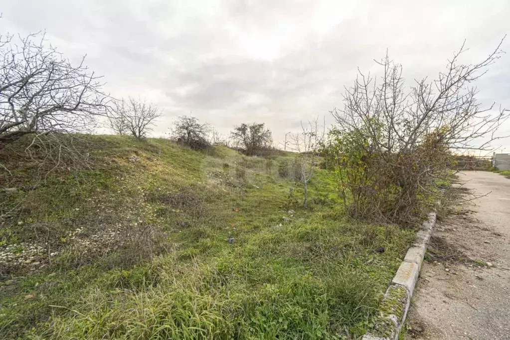 Участок в Севастополь пос. Голландия,  (4.95 сот.) - Фото 1