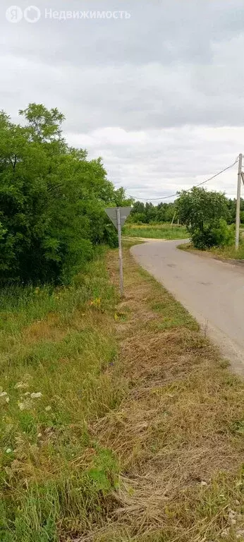 Участок в Засечный сельсовет, село Лебедёвка, Пензенская улица (13 м) - Фото 1