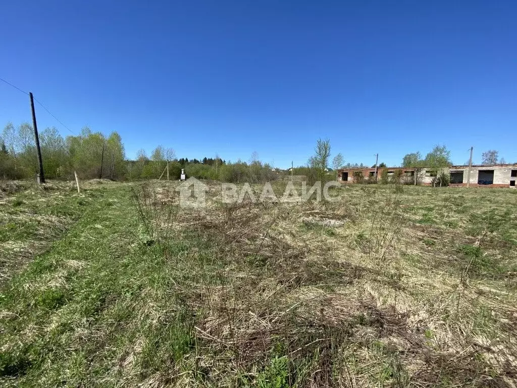 Помещение свободного назначения в Владимирская область, Кольчугино ... - Фото 1