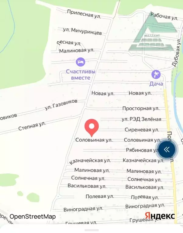 Участок в Оренбургская область, Оренбургский район, Красноуральский ... - Фото 1