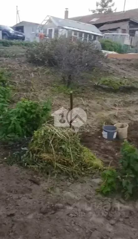 Дом в Новосибирская область, Новосибирский район, с. Барышево Лесная ... - Фото 1