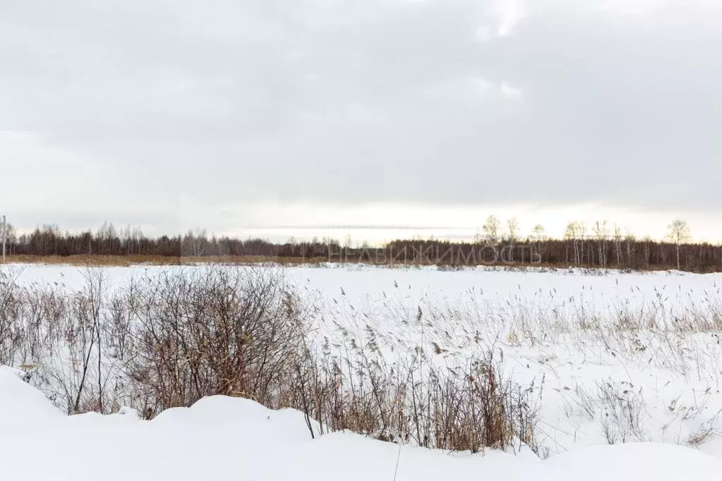 Участок в Тюменская область, Тюмень Березняки СНТ,  (7.2 сот.) - Фото 1