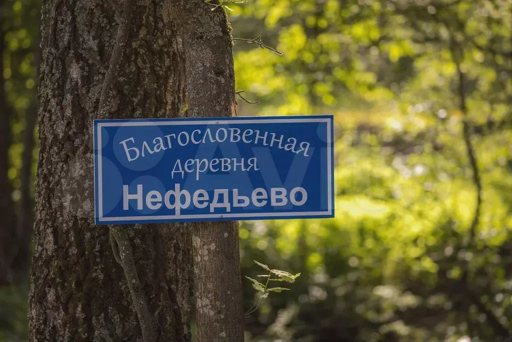 Участок 6 сот. (ИЖС) - Фото 1