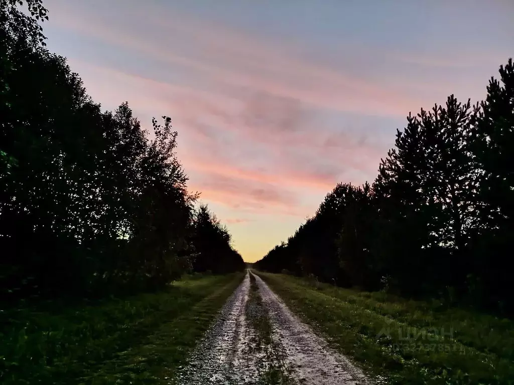 Дом в Калужская область, Тарусский муниципальный округ, Алекино с/пос, ... - Фото 2