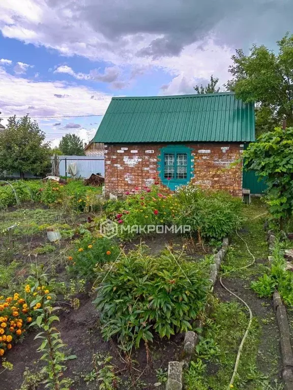 Дом в Брянская область, Брянск  (30 м) - Фото 1